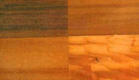 Californian redwood